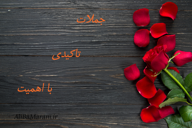 جملات تاکیدی با اهمیت